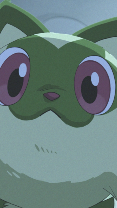 Como pode um vídeo de 30 segundos ser tão encantador! Pokémon Sleep nos deu um presentão com essa fofura de curta do Sprigatito (e mais cinco virão a cada semana)!
