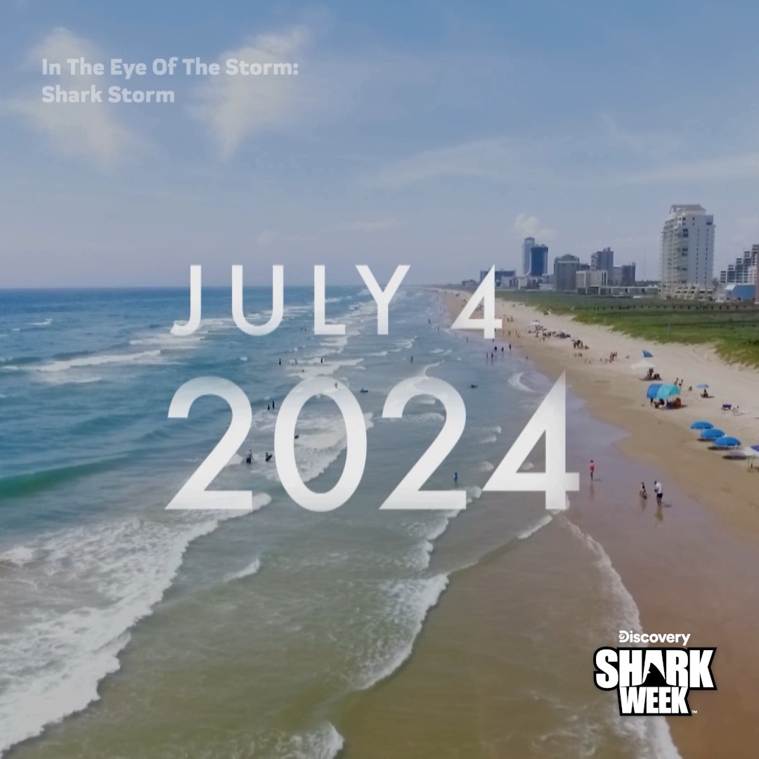 A wave of shark attacks rocked the Gulf Coast in summer 2024, and every moment was caught on camera 📸 In The Eye Of The Storm: Shark Storm starts NOW during #SharkWeek on Discovery.