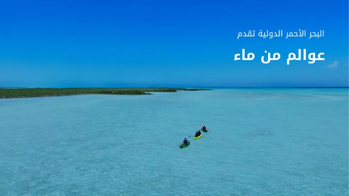 وجهاتنا تقدم الضيافة حتى في أعماق البحر 🌊؛ من التجديف إلى الغوص، تقدم #واما و #جالاكسيا تجارب بحرية تمزج بين المغامرة والاسترخاء 🤿🚣‍♂️. كل تجربة تُصمَّم بعناية لتعكس رؤيتنا #للإنسان_والطبيعة. #وجهة_البحر_الأحمر