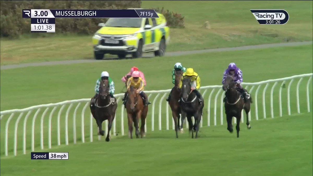 It's just the second first-time out juvenile winner for Iain Jardine Racing as Sovereign Ocean looks an interesting prospect for the stable Musselburgh Racecourse