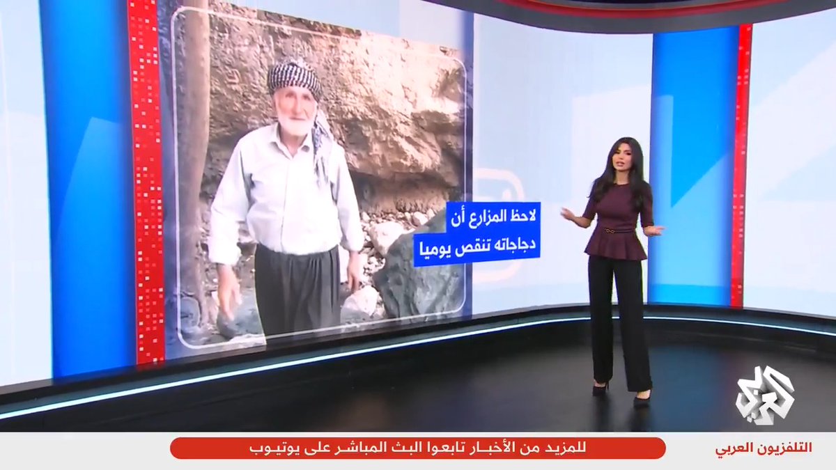 نصحه بالتوبة.. مزارع يحرر ثعلبا ويوجه له نصائح بعد القبض عليه أثناء سرقة الدجاج تابعوا حساب التلفزيون العربي