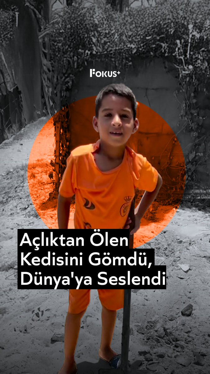 ➕️ “Kedi açlıktan öldü. Belki ben de yarın peşinden giderim.” ▪️ Açlıktan ölen kedisini toprağa veren bir Gazzeli çocuk, halkın yaşadığı dramı bu sözlerle anlatıyor; durum değişmezse kendisinin de aynı sonla karşılaşabileceğini söylüyor.