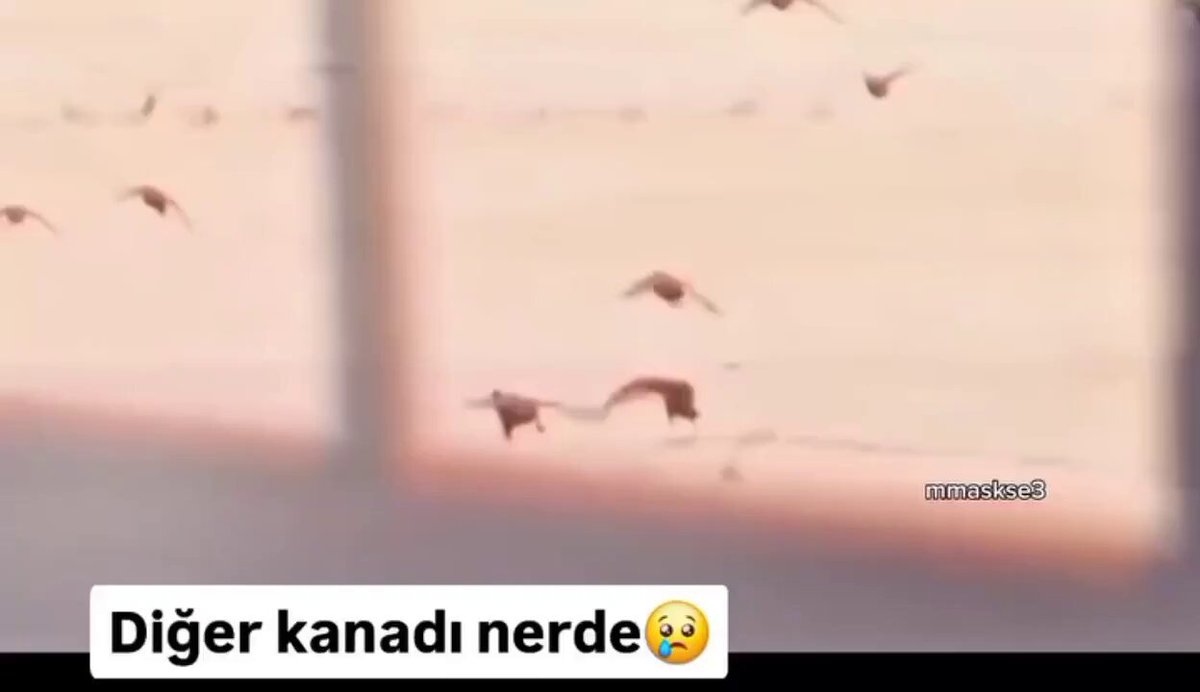 4 senedir besiktas