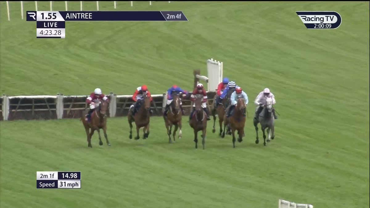 🤩 Gordon Elliott confirms star Mare BRIGHTERDAYSAHEAD will go chasing this season! Do you think she can comeback to her brilliant best and rule the division? 👀