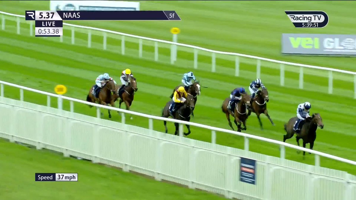 Havana Anna strikes on her first crack at Listed level with an impressive success in the ARQANA Irish Stallion Farms Marwell Stakes for Donnacha O'Brien 🏆