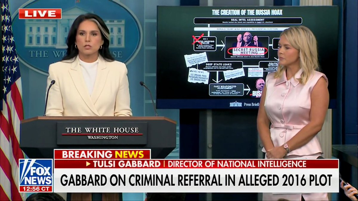 Tulsi Gabbard just torched the Left’s cover-up.
