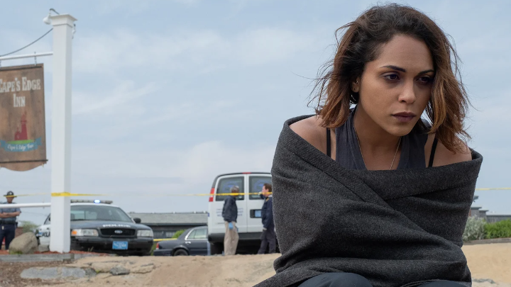 A Cape Cod wildlife official becomes entangled in a murder investigation, putting her at odds with the law, local secrets, and her own recovery. Hightown: The Complete Series is now on Netflix.