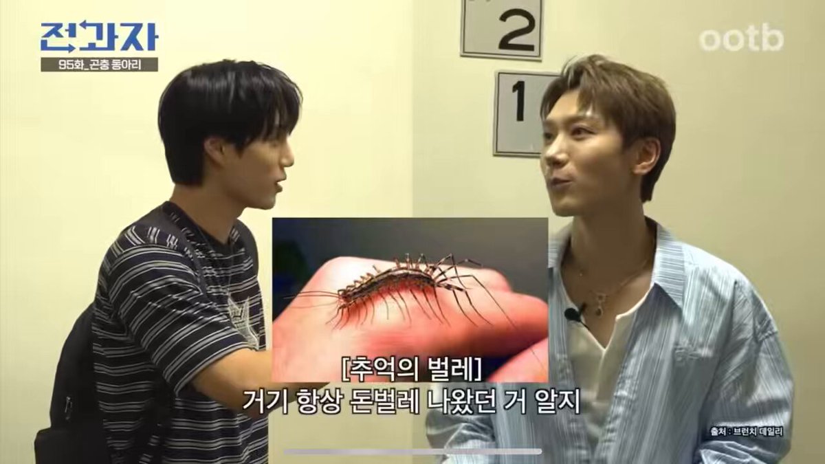 sm연습생 규칙 1 돈벌레는 잡지 않는다