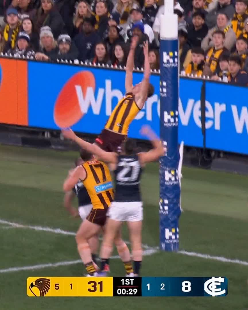 CALSHER DEAR MIGHT NEVER COME DOWN ‼️ #AFLHawksBlues
