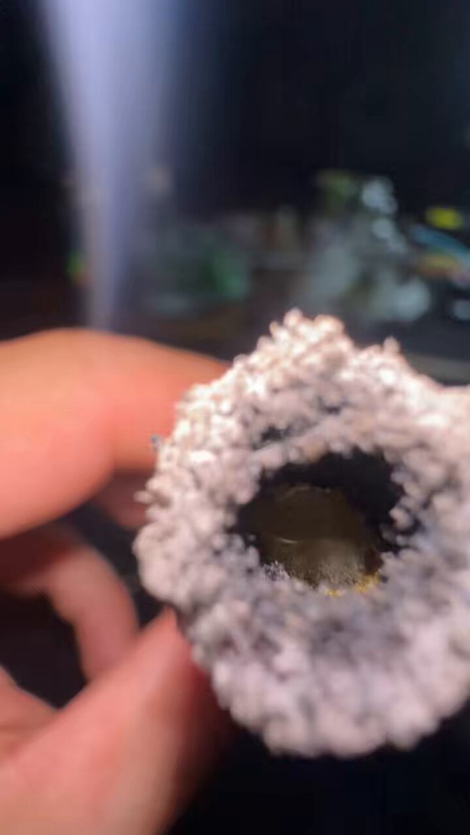 Show me a better donut video. I’ll wait….