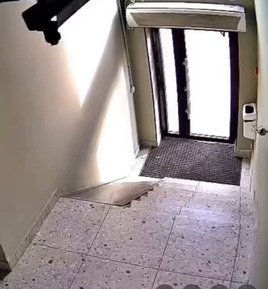 kim daha çok korkmuş belli değil