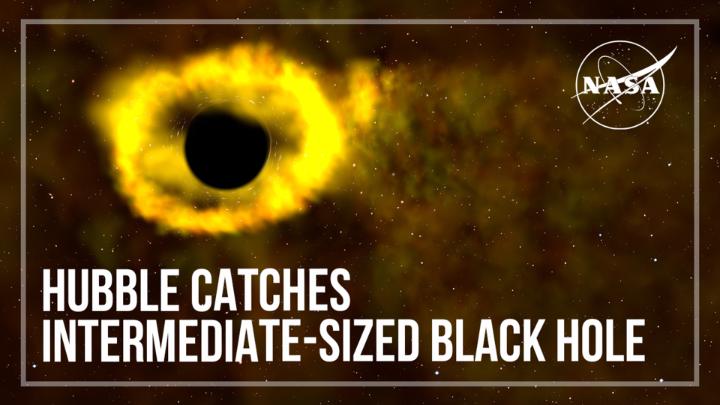Somewhere between small and supermassive black holes, an intermediate-mass black hole is hard to find because they don't shine unless they're caught in the act of eating a nearby star! Hubble and @ChandraXRay teamed up to study one of these rare events:
