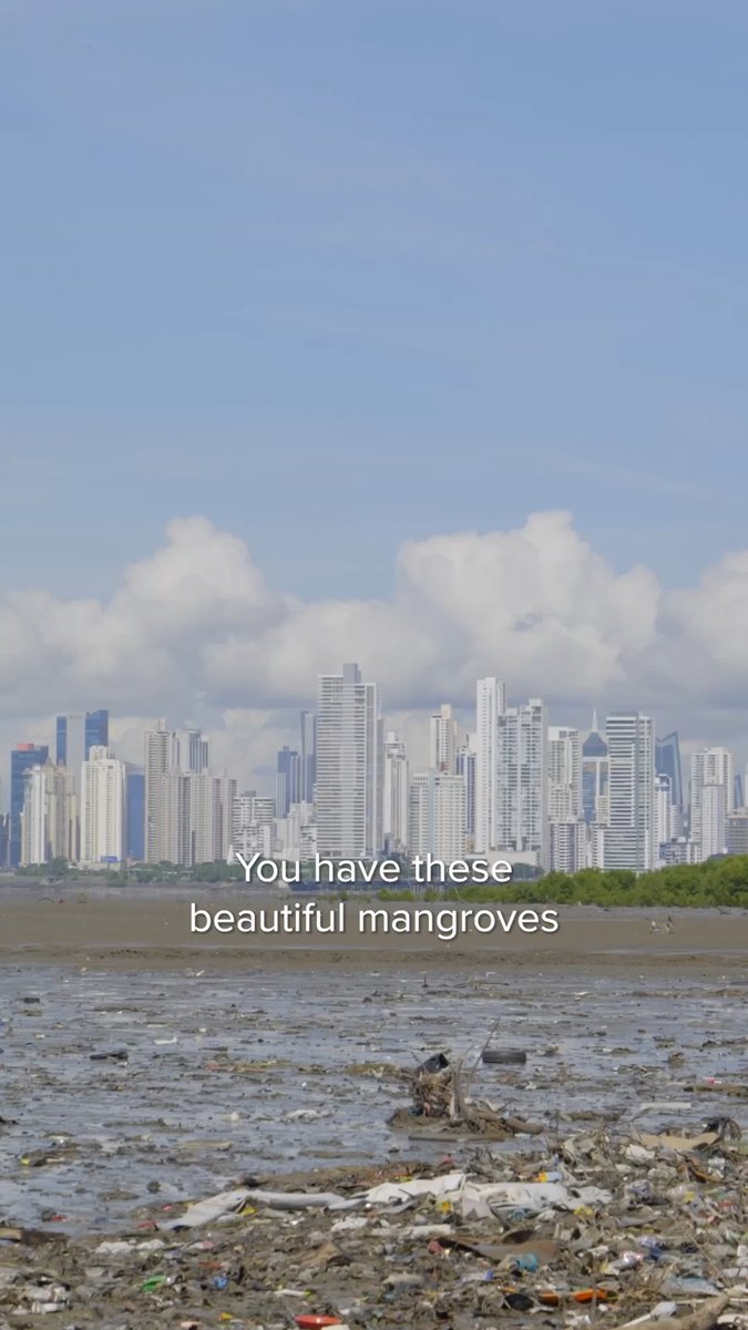 We plan to cut ocean plastic pollution from rivers by up to one-third by 2030. How? By tackling the most polluted cities worldwide.