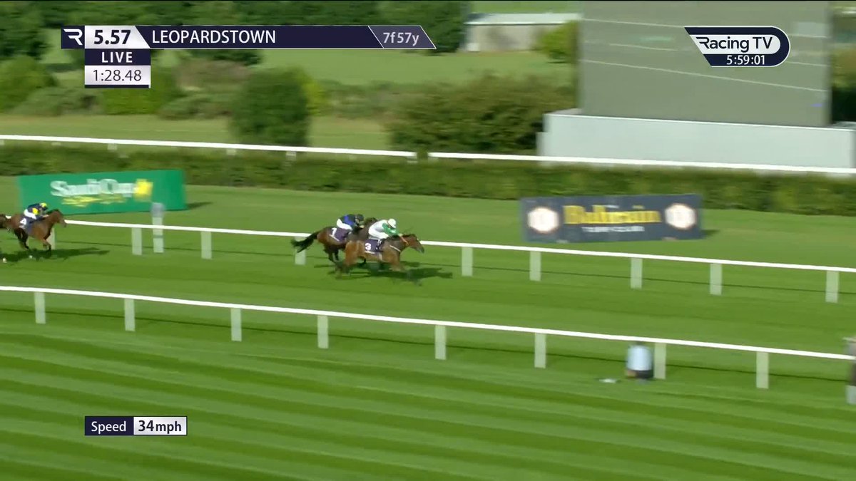A last to first win for the Stephen Thorne-trained Mayflower (ardad) on debut Leopardstown RC 🏆