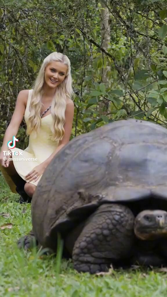 Barbie en las Islas. La Miss Universo visitó el Parque Nacional Galápagos y fue nombrada madrina de una tortuga. La experiencia la dejó maravillada.