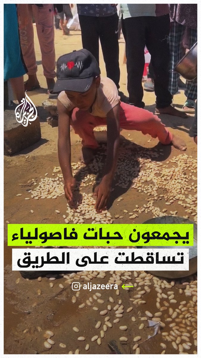 أطفال فلسطينيون يجمعون حبات فاصولياء سقطت على الطريق في ظل الجوع الذي يفتك بأهالي قطاع #غزة جراء الحصار الإسرائيلي #حرب_غزة