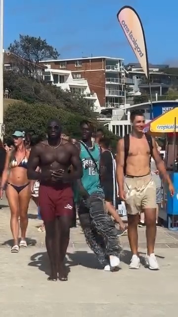 😂 He didn't want no problems! 🎥: @alwayspilipili2