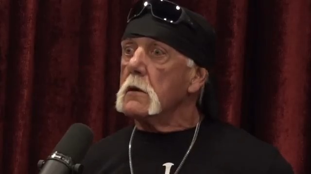 RIP Hulk Hogan, an absolute icon. As a child I idolized the Hulkster, I used to carry around his doll everywhere I went. Making this parody of his JRE episode was a true honor. I hope he was able to get a laugh out of it. #Hulkamania