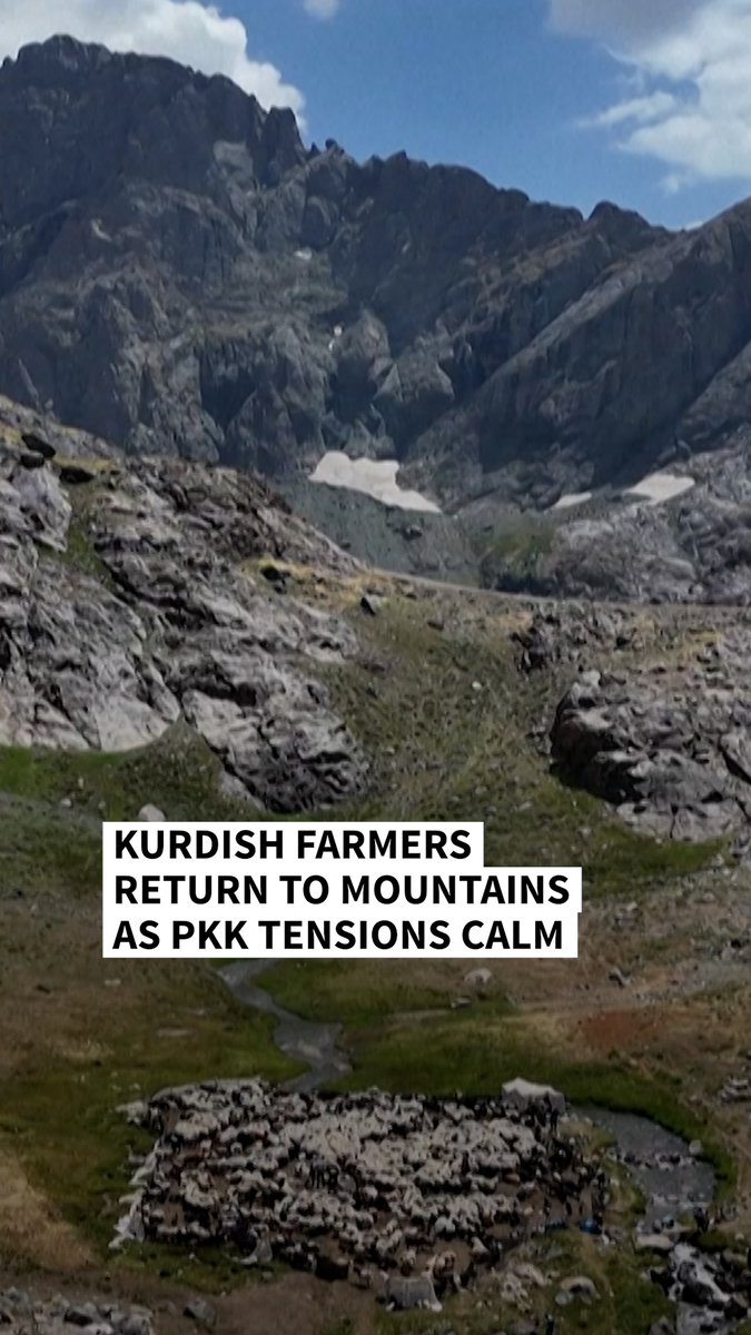 VIDEO: 🇹🇷 Kurdish farmers return to mountains as PKK tensions calm Deep in the mountains of Turkey's southeastern Hakkari province, Kurdish farmers are slowly returning with their flocks after decades of armed conflict between Kurdish militants and the Turkish army #AFPVertical