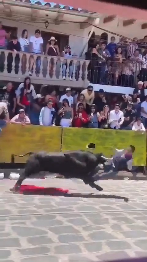 Sometimes the bulls win 🐂 #bull #BullsOnParade #bullfighter #FAFO