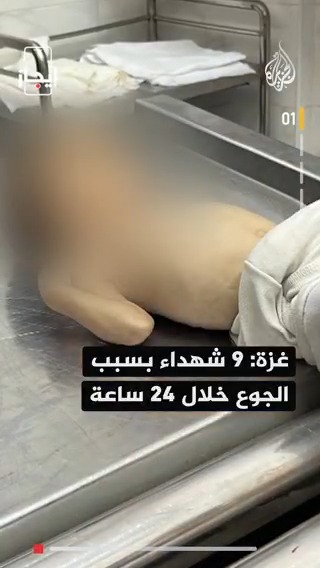 9 شهداء في قطاع غزة خلال الـ24 ساعة الماضية بسبب الجوع وسوء التغذية، والرئيس الفرنسي يقول إن بلاده قررت الاعتراف بدولة فلسطين الخبر في قصة بـ #إيجاز #حرب_غزة
