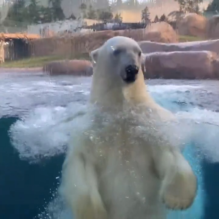 Keepers don't just take great care of animals — they also take great video. Happy Keeper Week!