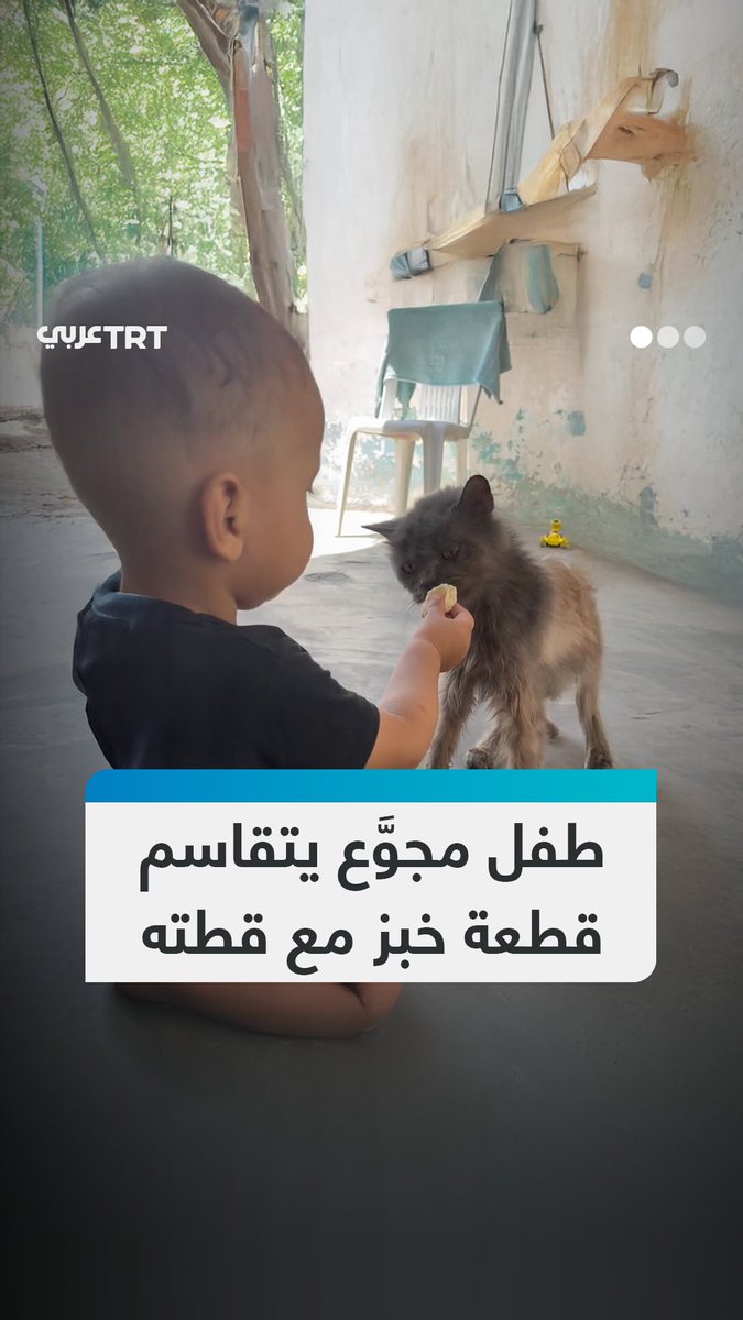 مشهد إنساني مؤثر لطفل يتقاسم قطعة خبز مع قطة في ظل تفشي المجاعة في قطاع #غزة بفعل الحصار الإسرائيلي المشدد. #تفاعل ليصل إليك كل جديد