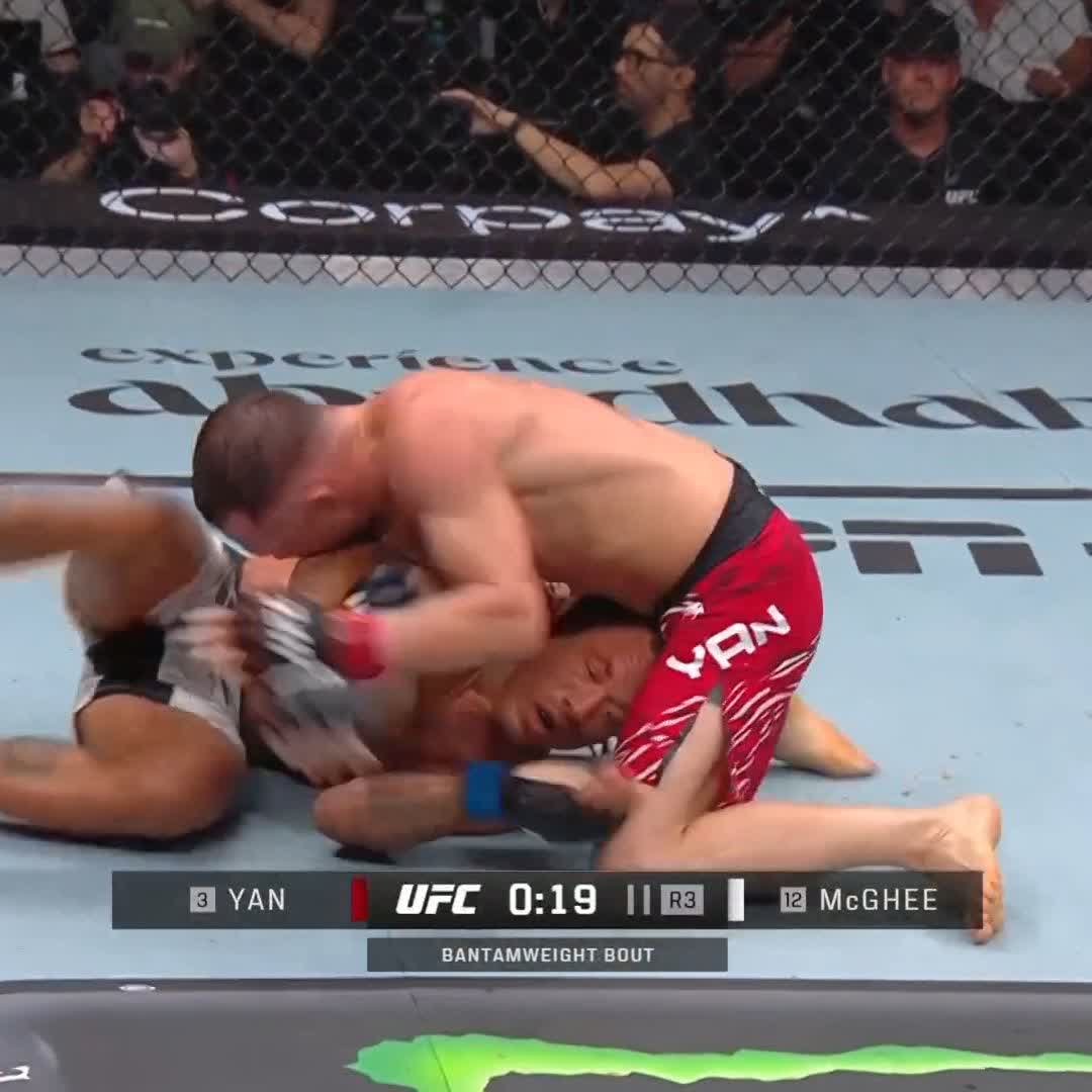 Petr Yan is so fkn back #UFCAbuDhabi