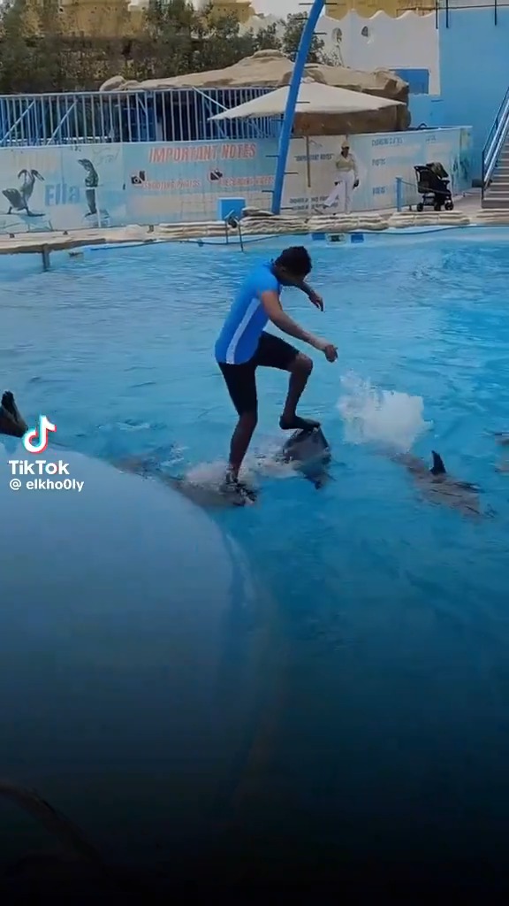 Maybe this is how Jesus walked on water