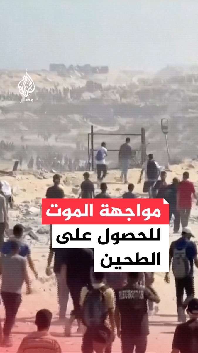 "نحضره بمليون موتة ولكن من أجل خاطر الأطفال".. فلسطيني يروي معاناتهم خلال محاولاتهم الحصول على كيس طحين بغزة وسط ظروف إنسانية قاسية