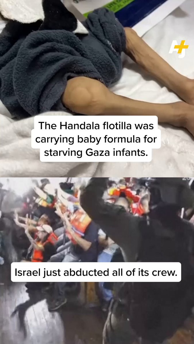 The Handala aid flotilla has been raided by Israeli forces. It was carrying baby formula that could have saved Palestinians from starving to death.