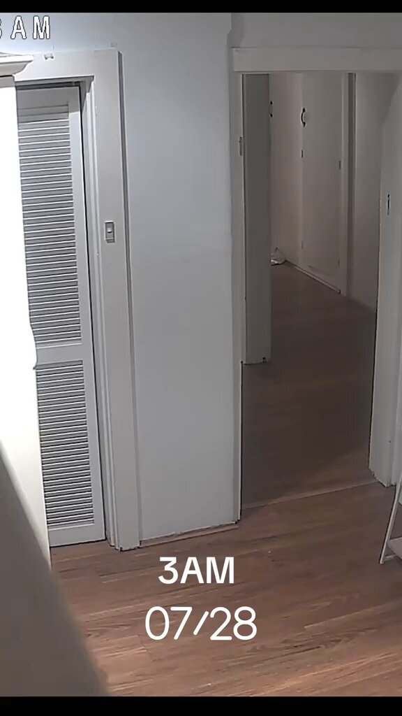 Home invasion caught on CCTV in Sydney Australia. Two males, one with a machete and one with a large torch ‘scoping out the house’. Australians aren’t safe and the government Australian Government is doing absolutely nothing about it. FIGHT BACK! 👊🏻🇦🇺