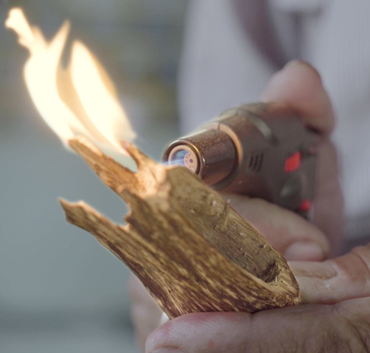 Zack D. Films Agarwood (Gaharu in Indonesian), the over-exploited liquid gold.