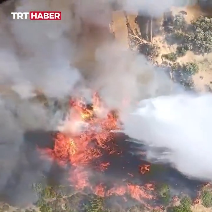 İzmir Bornova’da çıkan yangına 6 uçak, 6 helikopter, 20 arazöz, 3 iş makinesi, 148 personel ile müdahale ediliyor.