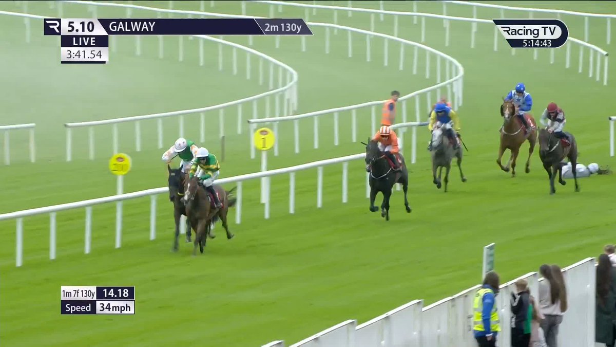 💚💛 DAVY CROCKETT (Camelot x Annie Power) makes a winning debut over Hurdles at Galway. Is he a future Willie Mullins superstar? 🤔