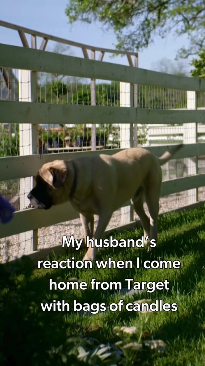 We're with Chip on this one. 🐶 📺 Stream #MiniReni with Chip Gaines and Joanna Gaines on discovery+.