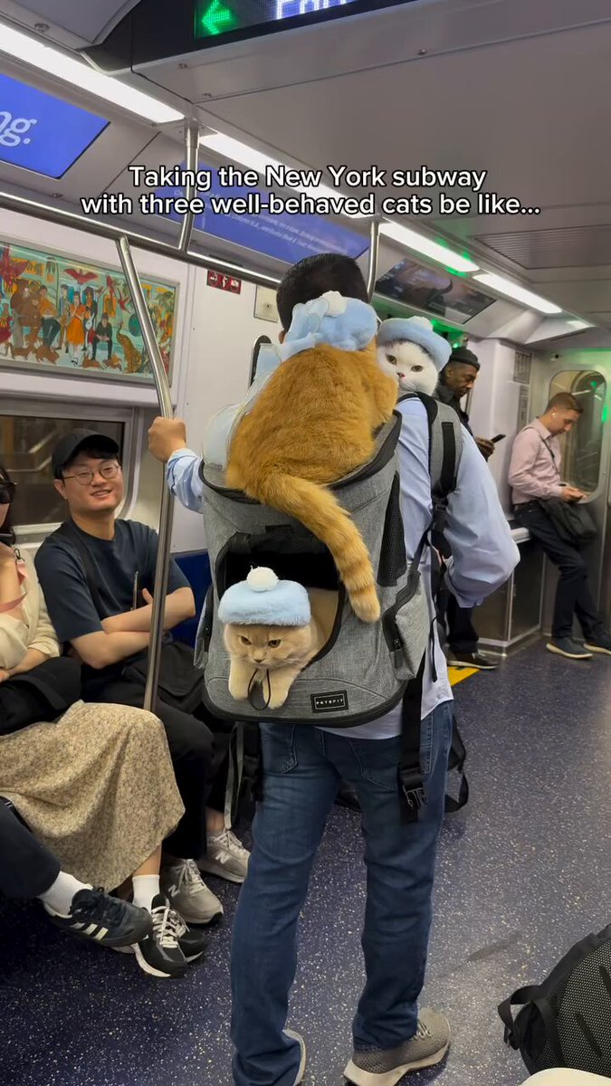 The coolest subway riders are here