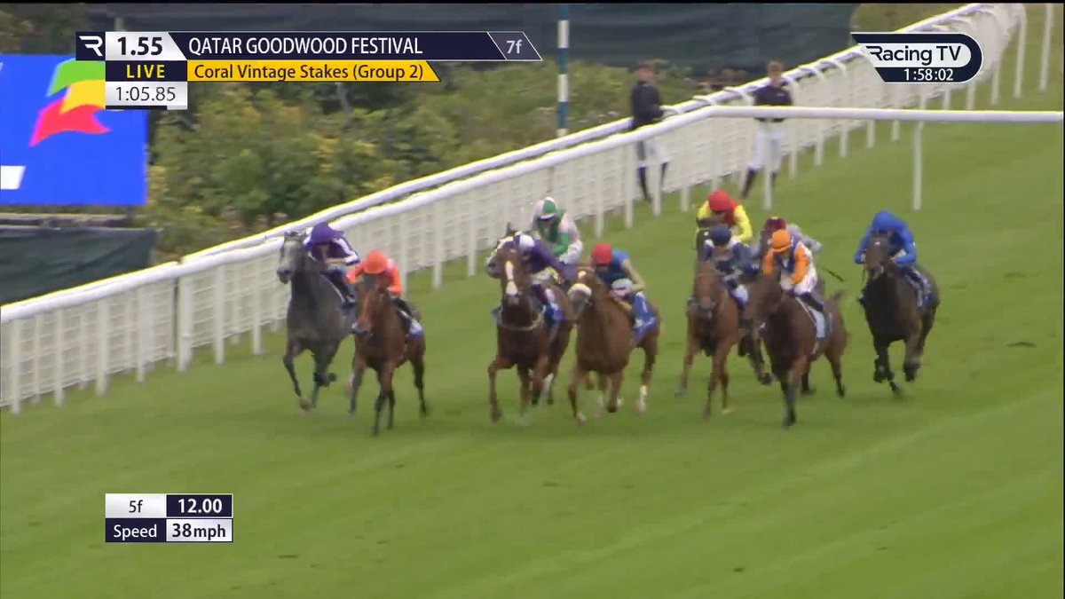 One of the stars of the season strikes again! Zavateri makes it three from three and strikes for more Group 2 glory in a thrilling renewal of the £175,000 Coral Vintage Stakes for Eve Johnson Houghton