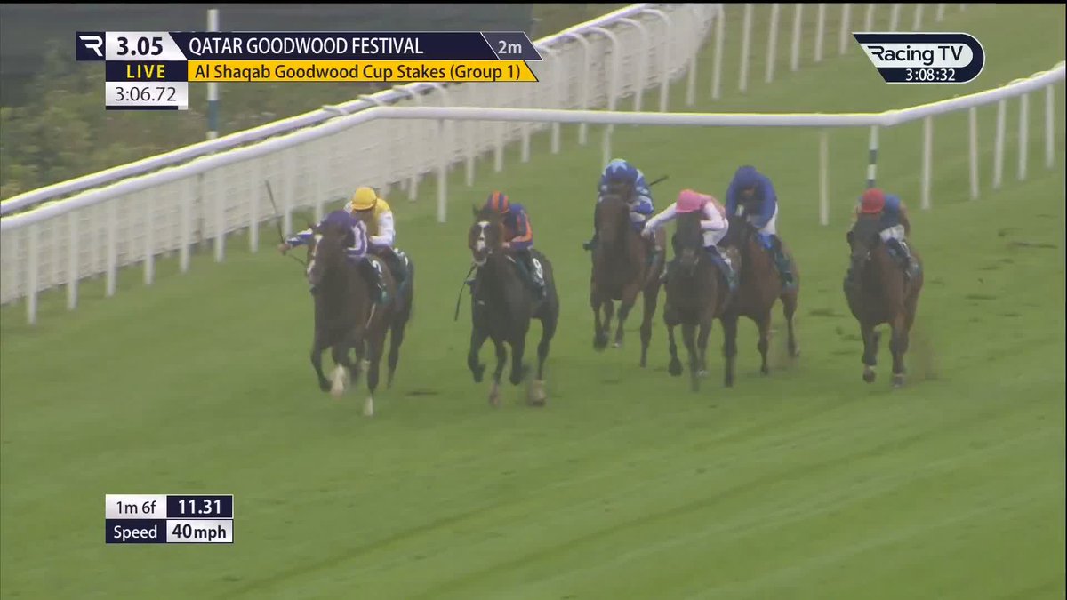 A new staying kid on the block ๐ ๐๐๐๐ง๐๐ข๐ง๐๐ฏ๐ข๐ becomes the first horse from the Classic generation to win the Goodwood Racecourse Cup since Stradivarius ๐ง๐ฆ Unfortunately, this race has been marred by the injury to Trueshan. Al Shaqab Racing | Qatar Racing