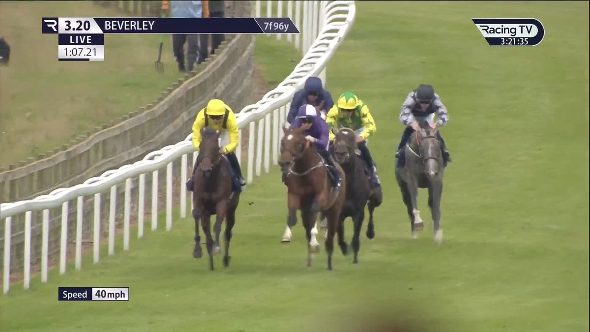 The £1.1m racehorse wins on debut! Ancient Egypt, by the brilliant Frankel, lands the odds in the British EBF Novice Stakes for Rowan Scott, Johnston Racing and Amo Racing