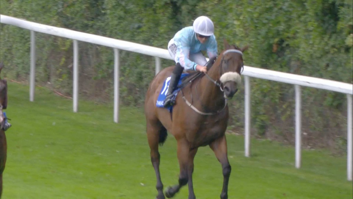 Brazen Bolt just about holds on to win the Coral Golden Rewards Shaker Handicap🥇 #ITVRacing | Goodwood Racecourse | Warren Fentiman | Ruth Carr Racing Ltd