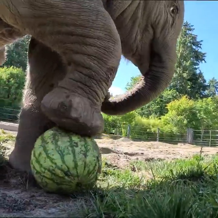 it's tiny trunk tuesday