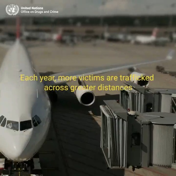 Organized crime fuels human trafficking worldwide. 74% of traffickers operate within organized crime groups, exploiting more victims more violently than independent criminals. Proactive law enforcement operations are crucial to #EndHumanTrafficking.