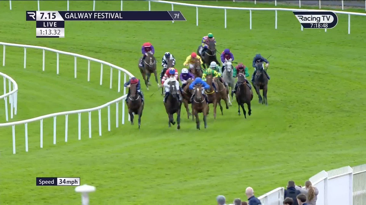 Collecting Coin indeed! 🪙 Collecting Coin, one of the best-backed horses of the day, bolts up Galway Races on his first start since being gelded. Jessica Harrington | Irish Stallion Farms