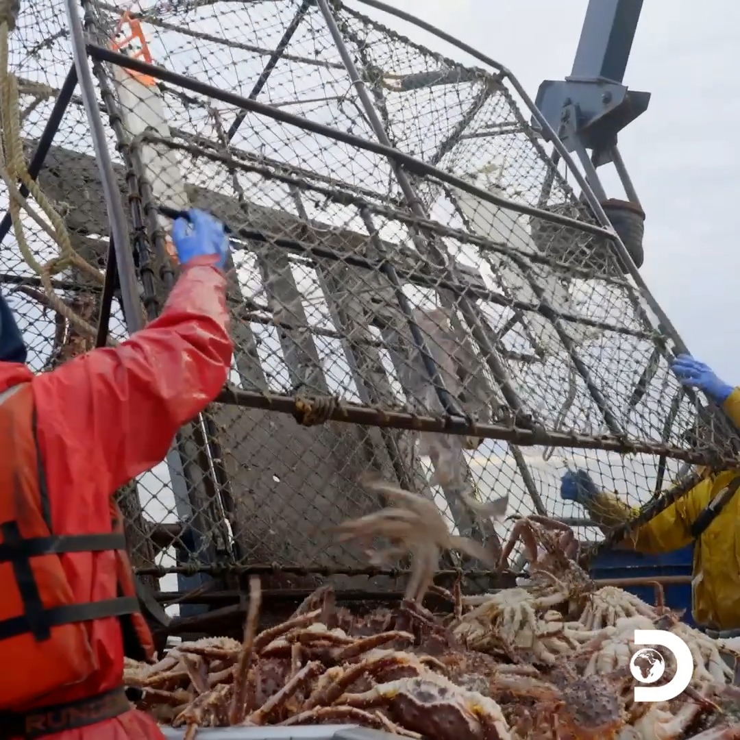 The crews of #DeadliestCatch are exploring new territories, and the crab pots are FULL! Here's your first look at the new season, Fridays at 8p on Discovery.