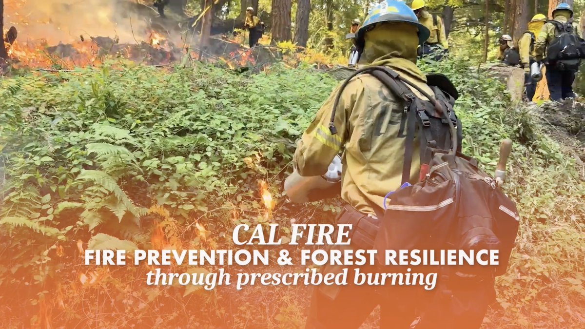 In the last year, CAL FIRE crews have worked on prescribed burns of vegetation and dry brush across the state to help prevent future wildfires. Thanks to their critical work, teams surpassed their annual goal of 50,000 treated acres.