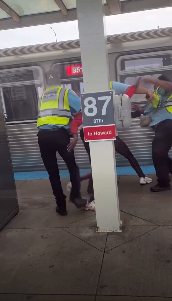 Riders assault CTA security, again. Just another day on the Red Line in Brandon Johnson's lawless Chicago.