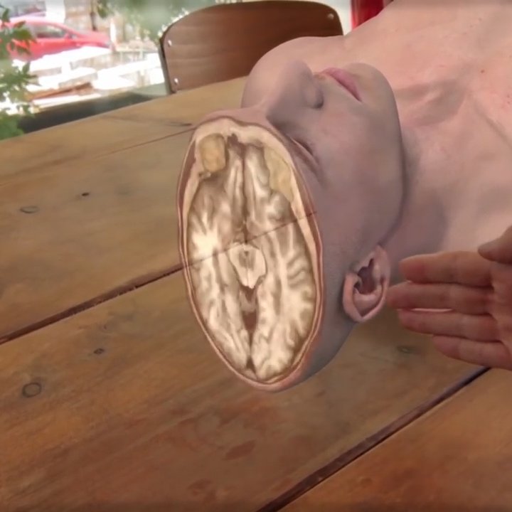 Students explore the human body with interactive 3D anatomy.