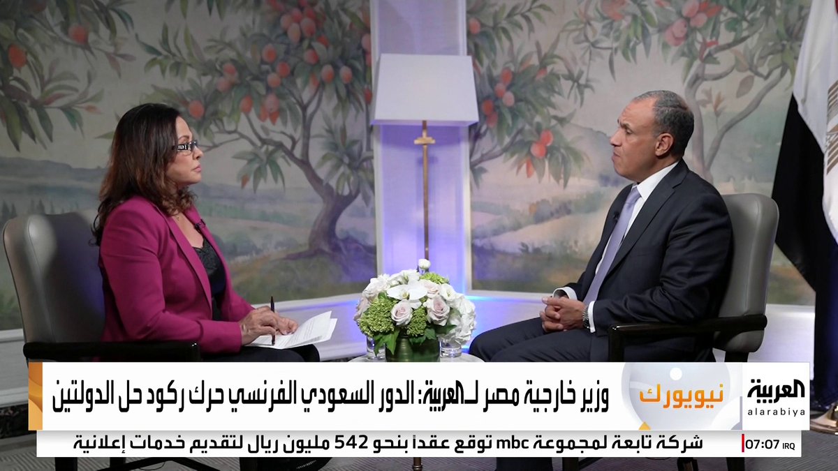وزير خارجية مصر للعربية: الدور السعودي الفرنسي حرك ركود حل الدولتين #قناة_العربية #أخبار_الصباح Nadia Bilbassy Charters ناديا البلبيسي