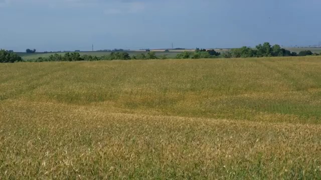 How will NISAR support agriculture and farming? Hear from the scientists and end users how its data will be used to map crop growth, track plant health, and monitor soil moisture.